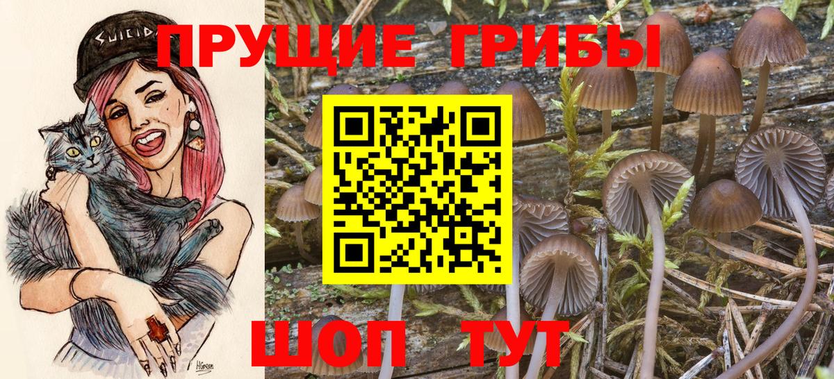 Псилоцибиновые грибы ЛСД Усолье-Сибирское